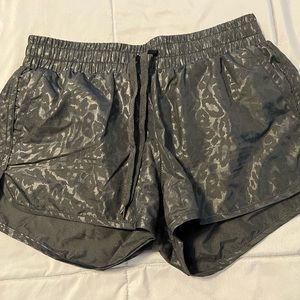 Zyia black cheetah bomber shorts